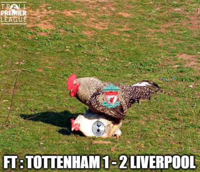 消除阻碍，重磅对决近在咫尺！乌西克VS维尔德：WBC正式批准巅峰碰撞