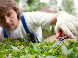 关于 Garden Hub - 开云2