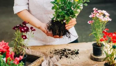 欢迎来到 GardenHub - 开云2